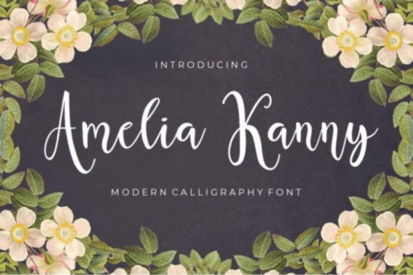 Amelia Kanny Font - Featured Image