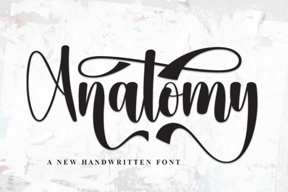 Anatomy Font - Featured Image