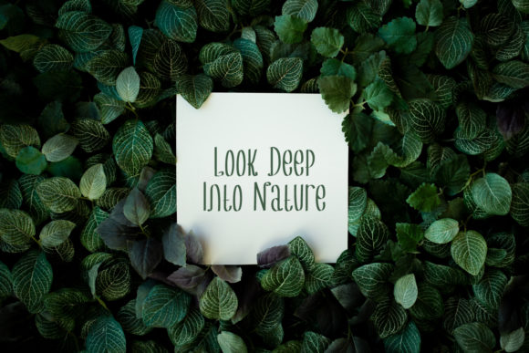 Audreys Font - Featured Image