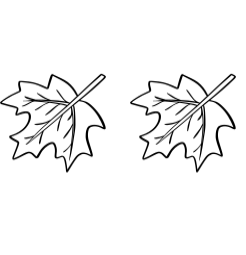 Autumn Doodle Font - Featured Image