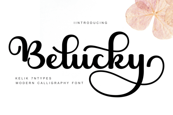 Belucky Font - Featured Image