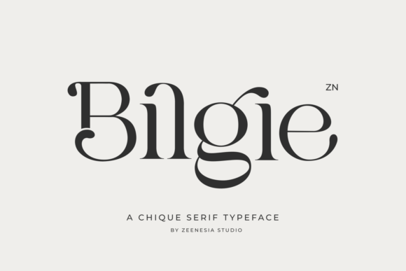 Bilgie Font - Featured Image