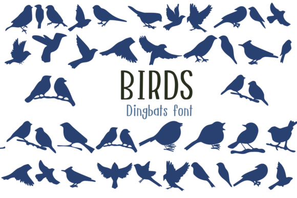 Birds Font - Featured Image