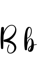 Bolder Font - Featured Image
