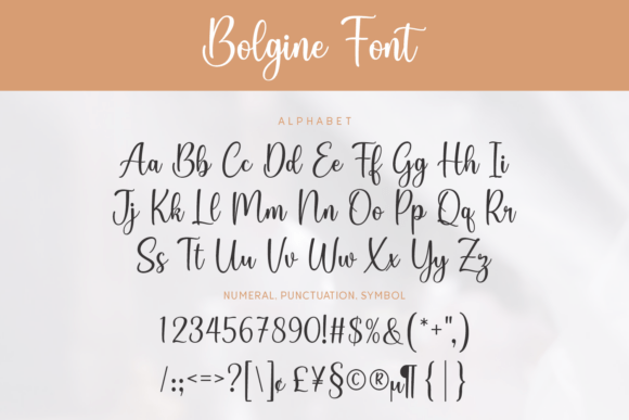 Bolgine Font - Featured Image