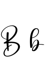 Bonita Beauty Font - Featured Image