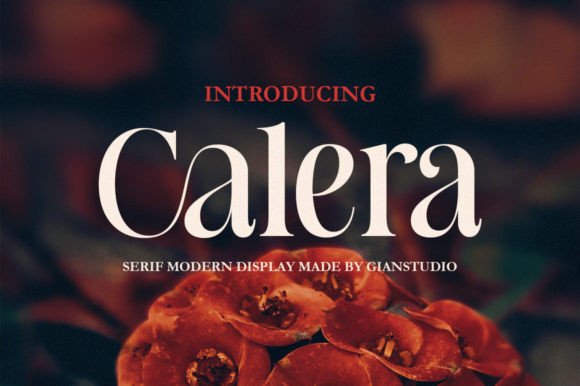 Calera Font - Featured Image