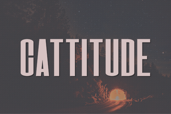 Cattitude Font - Featured Image