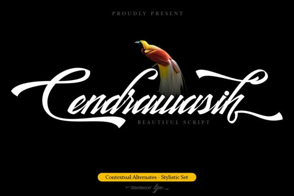 Cendrawasih Font - Featured Image