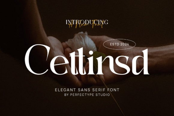 Cettinsd Font - Featured Image