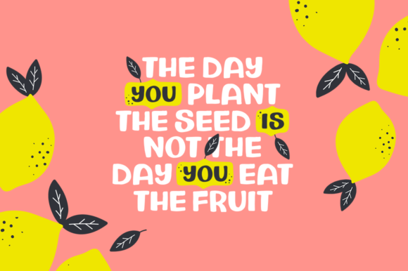 Charley and Beau Font - Featured Image