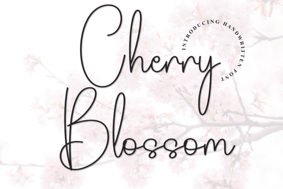 Cherry Blossom Font - Featured Image