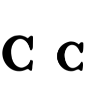 Cindy Font - Featured Image