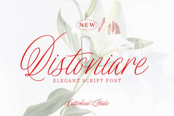 Distoniare Script Font - Featured Image