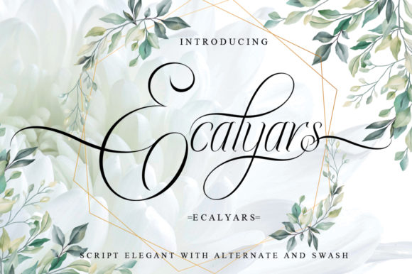 Ecalyars Font - Featured Image
