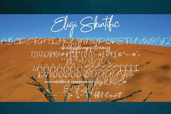 Elegi Skintific Font - Featured Image