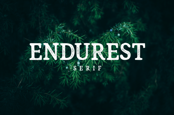 Endurest Font - Featured Image