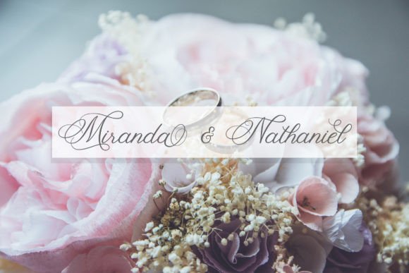 Fancy Script Font - Featured Image