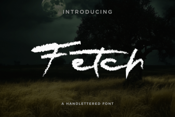 Fetch Font - Featured Image