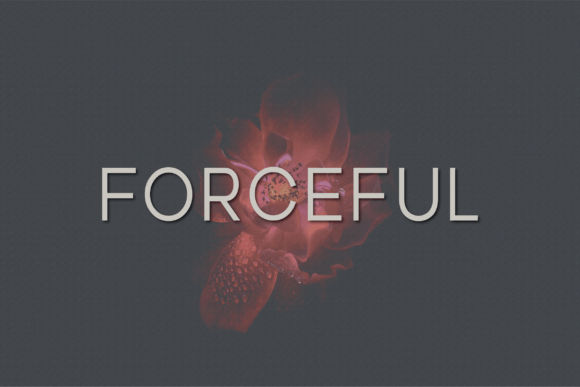 Forceful Font - Featured Image