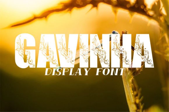 Gavinha Font - Featured Image
