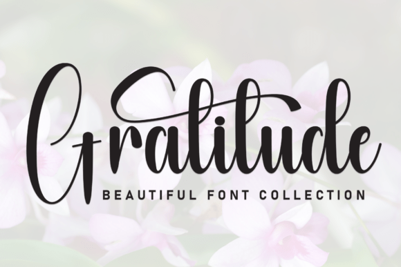 Gratitude Font - Featured Image