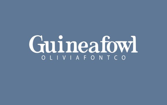Guineafowl Font - Featured Image