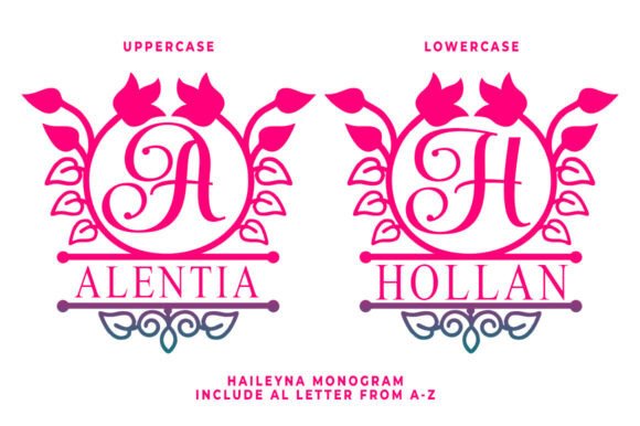 Haileyna Monogram Font - Featured Image