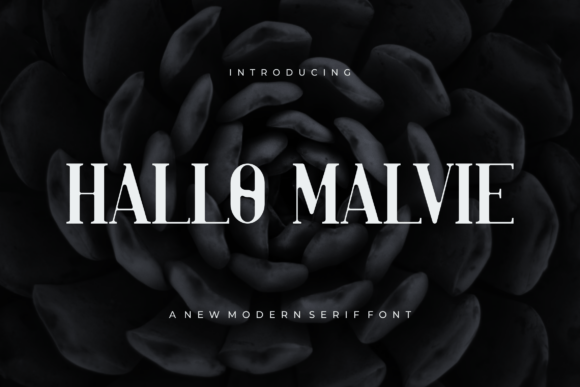 Hallo Malvie Font - Featured Image